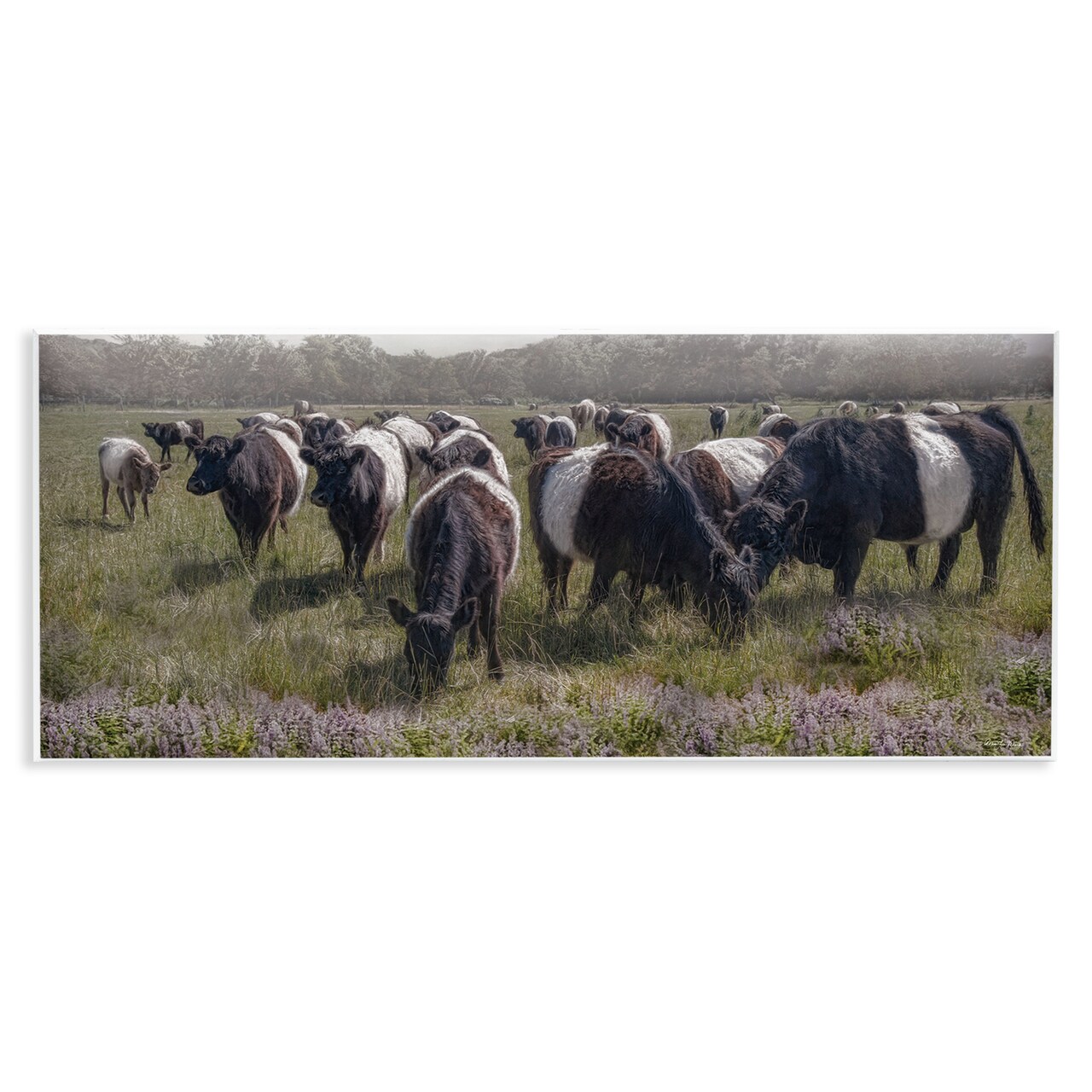 Stupell Industries Black Cows Grazing in Pasture Wall Plaque Design by Robin-Lee Viera